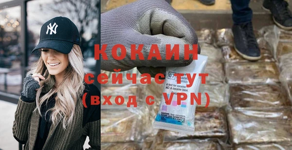 сатива Арсеньев
