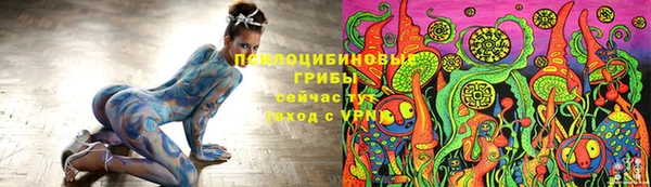 сатива Арсеньев
