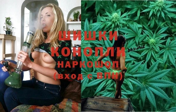 сатива Арсеньев